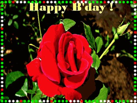 Lovely Birthday Rose For You Free Flowers Ecards Greeting Cards 123