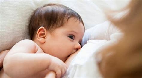 Manfaat Pemberian Asi Bagi Bayi Dan Ibunya Yudi Hartono