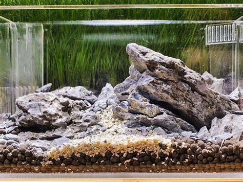 Each type of aquarium stone has character and features unique to itself. Aquascaping With Rocks And Driftwood - Aquascape Ideas
