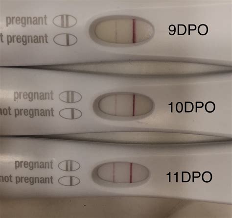 Positive Ovulation Test Update Pregnancy Tests Bfp Tmi Warning Implantation Bleeding Pics