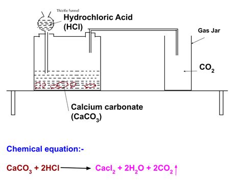 Draw Well Labelled Diagram Of Laboratory Preparation Of Carbon Dioxide