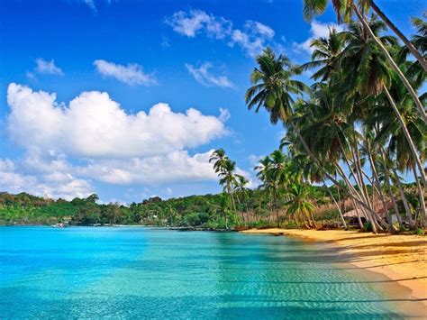 Itulah list gambar background gratis yang bisa kamu gunakan untuk quotes. Beach Caribbean Wallpaper Hd 2560x1440 : Wallpapers13.com