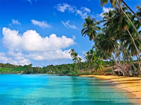 [71+] Free Caribbean Beach Wallpaper on WallpaperSafari