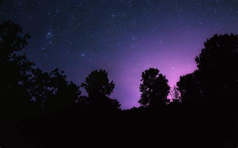 Download Wallpaper 2560x1600 Starry Sky Night Stars Landscape Trees