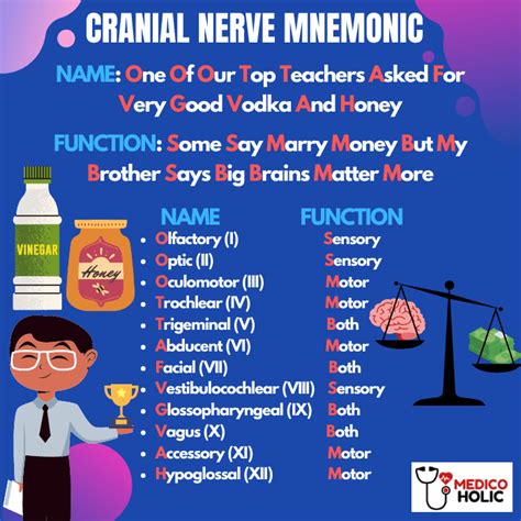 Cranial Nerve Mnemonic Easy Way To Remember Cranial Nerves Cranial