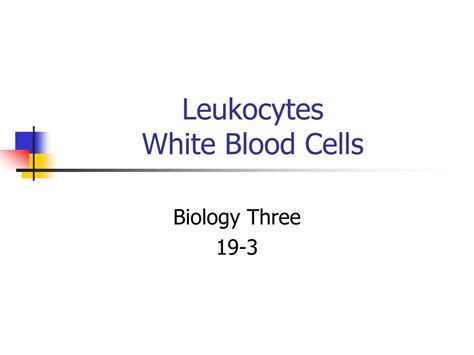 Ppt Leukocytes White Blood Cells Powerpoint Presentation Free