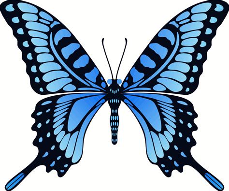 Flying Blue Butterfly Animation Clipart Best Clipart Best