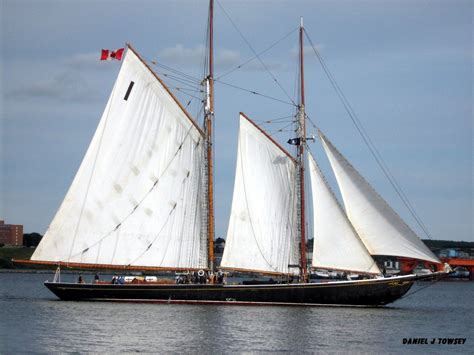 Classic Sailing Yacht Bluenose Ii Photo By Daniel J Towsey — Yacht