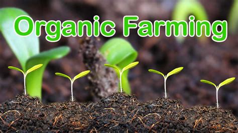 Benefits Of Organic Farming Modern Farming Methods And Benefits