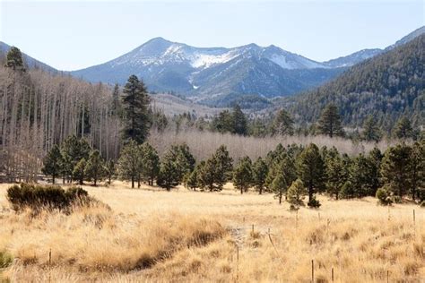 San Francisco Peaks Flagstaff Tickets And Tours 2024