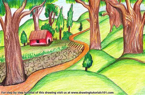 Forest Scene Colored Pencils Drawing Forest Scene With Color Pencils