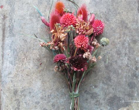 Dried Wild Flower Bouquet Arrangement No17 Pink Thistles