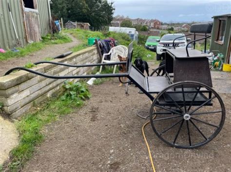 Bellcrown Carts And Carriages For Sale Dragon Driving