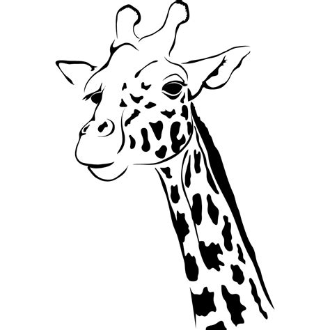 Wallstickers Folies Giraffe Wall Stickers