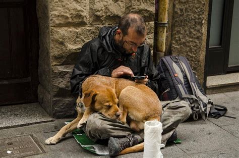Homeless People In Brazil Can Now Bring Their Pets To Beds In Shelters