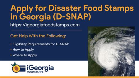 You also may need to work a minimum number of hours each week to receive benefits. Apply for Disaster Food Stamps in Georgia - Georgia Food ...