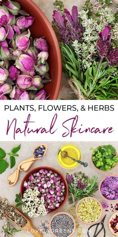 Using Plants Flowers And Herbs For Skincare • Lovely Greens In 2020