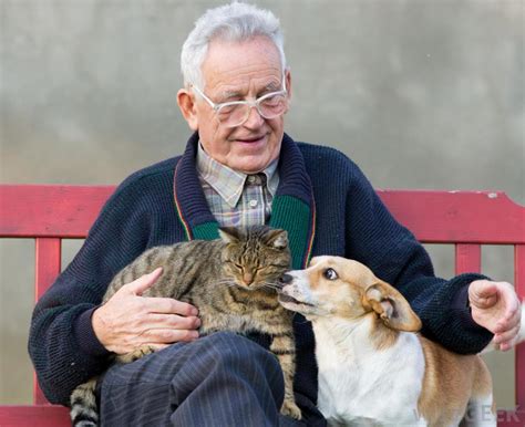 Do People With Pets Live Longer Siowfa15 Science In Our World