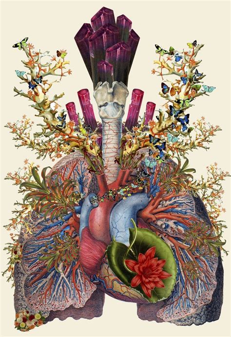 Anatomical Collages By Travis Bedel — Colossal Anatomy Art Medical