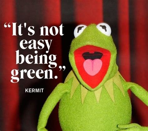 Kermit The Frog Quotes