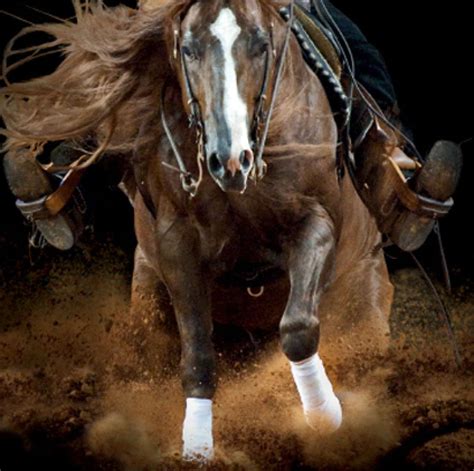 Advantages And Disadvantages Of Long Reining Horses