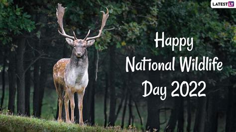 Festivals And Events News Happy National Wildlife Day 2022 Date