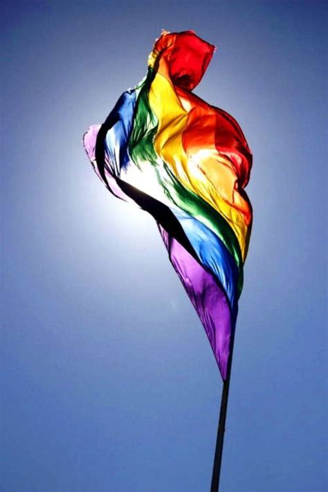 Retro inspired pride vine aesthetic bi transpa png. MaleFreeSpiritErotic Existence | Rainbow flag, Rainbow ...
