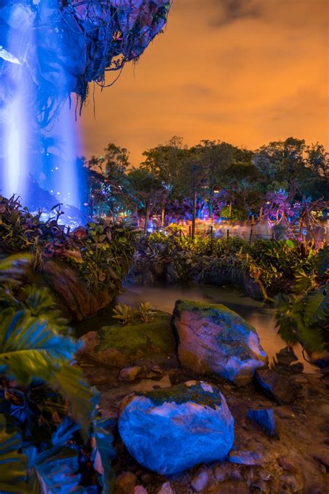 Are you still in awe of what james cameron did with avatar? Pandora: The World of Avatar at night at Disney World's ...