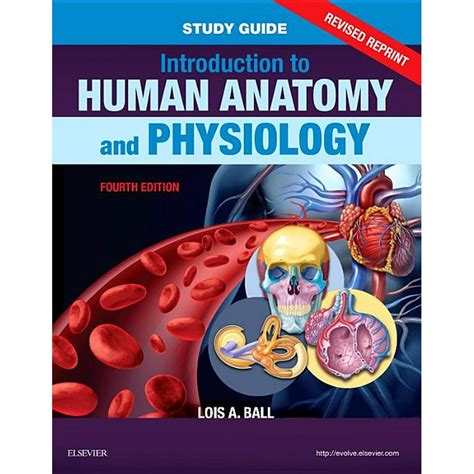Study Guide For Introduction To Human Anatomy And Physiology Revised