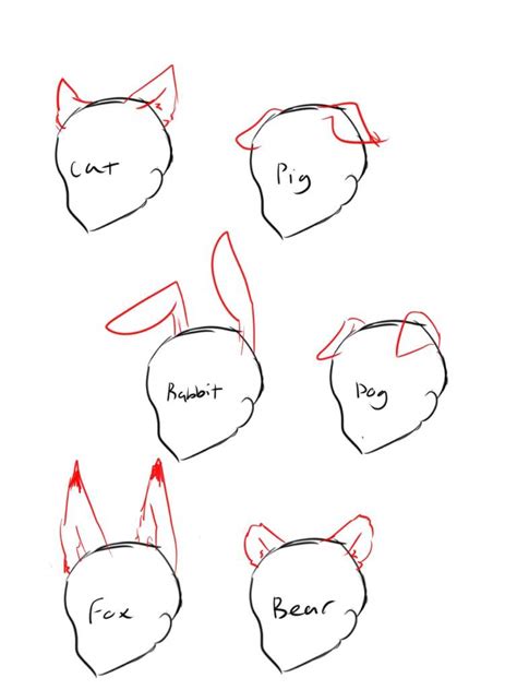 How To Draw Animal Ears How To Draw Animals Elephants Their Species