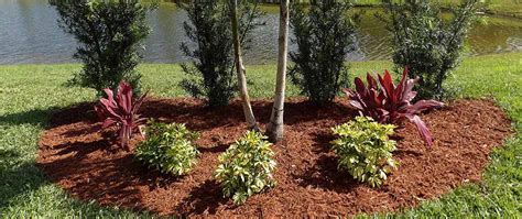 Premium hardwood bark mulch $29.00 per yard. Local Landscaping Company in Bradenton Beach, FL | Three ...