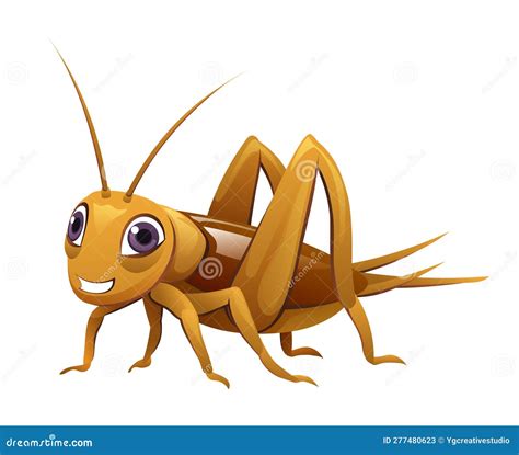 Cute Cricket Insect Cartoon Illustration Stock Vector Illustration Of
