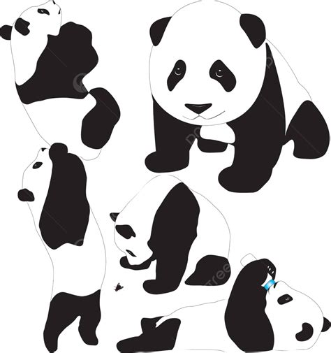 熊貓寶寶矢量剪影飲水瓶亞洲 照片 喝 瓶子 亞洲向量圖案素材免費下載，png，eps和ai素材下載 Pngtree