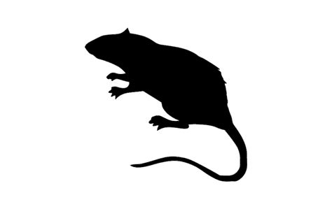 Free Rat Silhouette Png Download Free Rat Silhouette Png Png Images