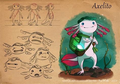 Cdc Axolotl Adventurer By Pochi N Puniah On Deviantart In 2021