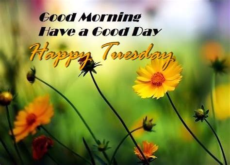 Good Morning Have A Good Day Happy Tuesday Pictures Photos And Images