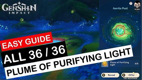 Easy Guide To 36 Plume Of Purifying Light To Level Up Amrita Pool