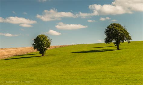 Hintergrundbilder Sonnenlicht Bäume Landschaft Hügel Natur Gras