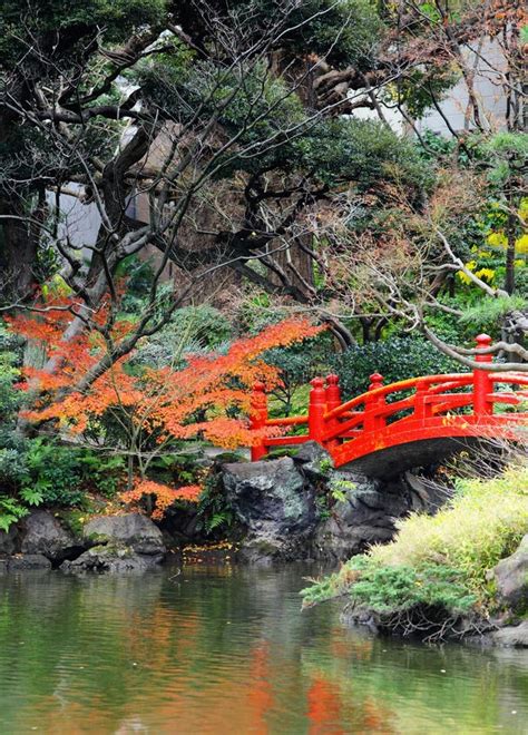 Red Bridge In Japanese Garden Stock Image Image Of Hedge Foliage