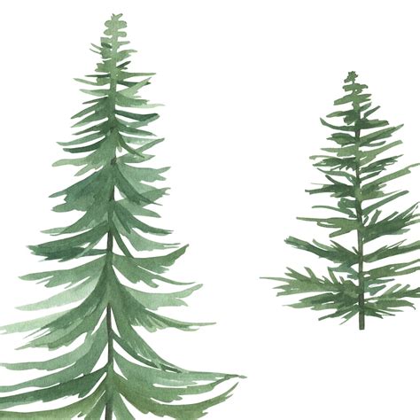 Watercolor Pine Trees Clipart Collection Woodland Pine Trees Etsy
