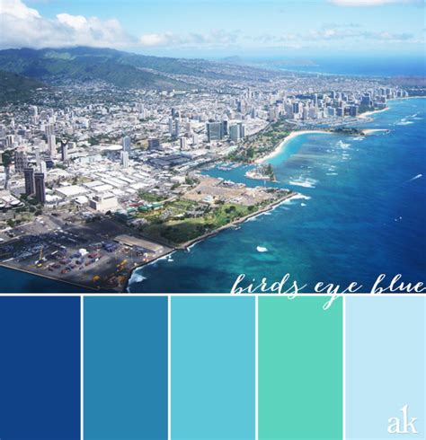 An Ocean Inspired Color Palette — Akula Kreative