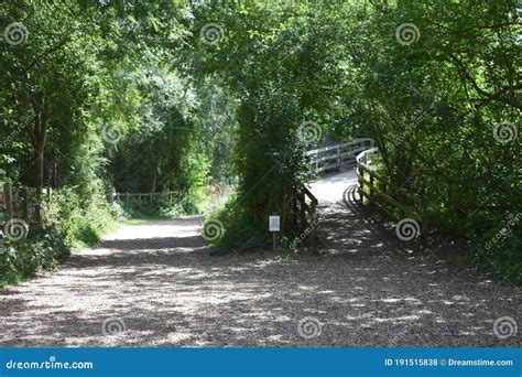 Two Paths Amwell Nature Reserve Stock Photo Image Of Green Curve