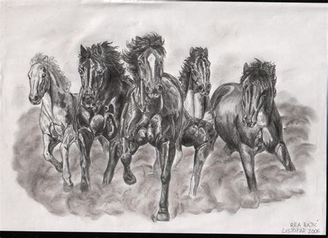 Wild Horses By Artifexa On Deviantart