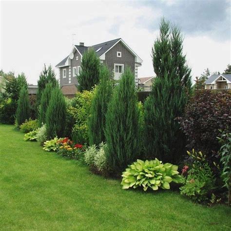 Privacy Landscaping Ideas Image To U
