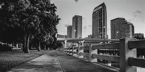 Riverwalk View Of The Tampa Skyline Monochrome Panorama Photograph By