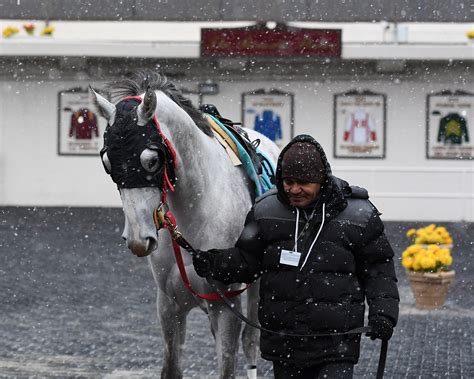 Increased purses announced for Aqueduct winter meet