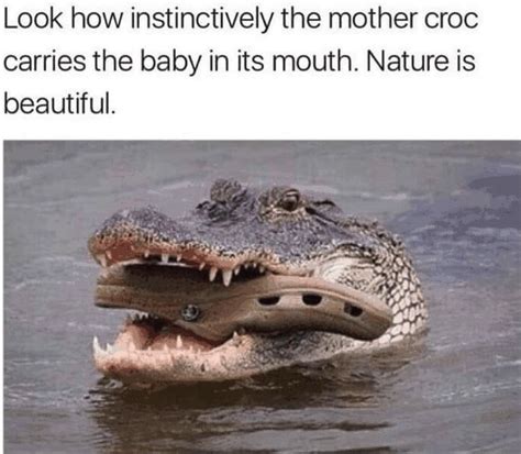 The Best Crocs Memes Memedroid