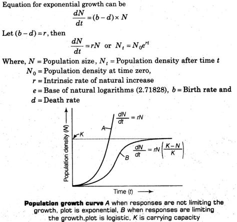 Exponential Growth Equation Biology Example Tessshebaylo
