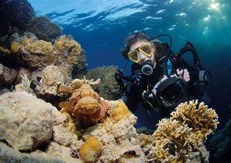 Top 4 Best Red Sea Diving Destinations