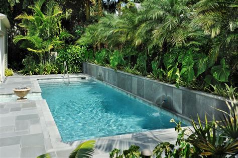 Photos Tranquil Lap Pool With Lush Landscaping Including Palm Trees And